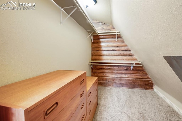 226 W El Paso Ave, Cripple Creek, CO 80813 - walk in closet with carpet floors