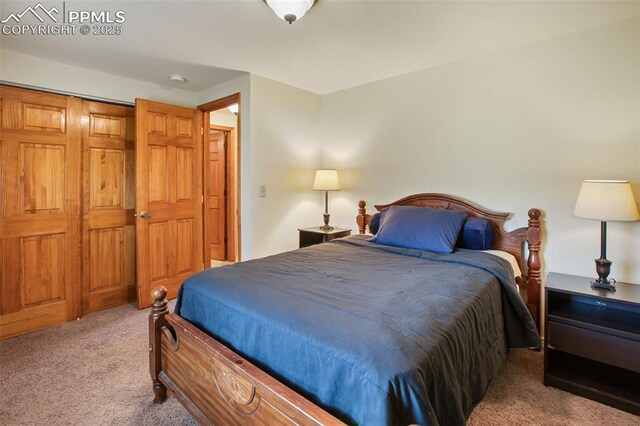 226 W El Paso Ave, Cripple Creek, CO 80813 - bedroom featuring carpet