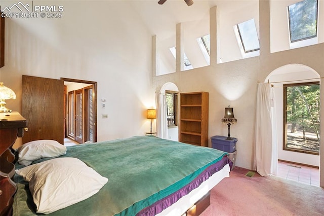 886 Cottonwood Lake Dr, Divide, CO 80814 - carpeted bedroom with high vaulted ceiling, a skylight, and access to exterior
