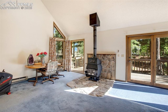 886 Cottonwood Lake Dr, Divide, CO 80814 - home office featuring carpet, a wood stove, lofted ceiling, baseboard heating, and baseboards