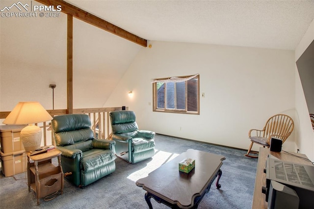 886 Cottonwood Lake Dr, Divide, CO 80814 - view of carpeted living area