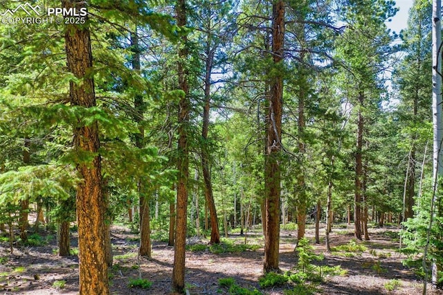 886 Cottonwood Lake Dr, Divide, CO 80814 - view of tree filled area
