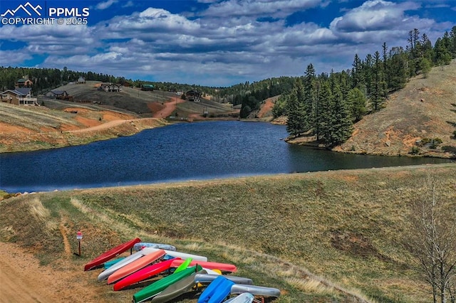 886 Cottonwood Lake Dr, Divide, CO 80814 - water view
