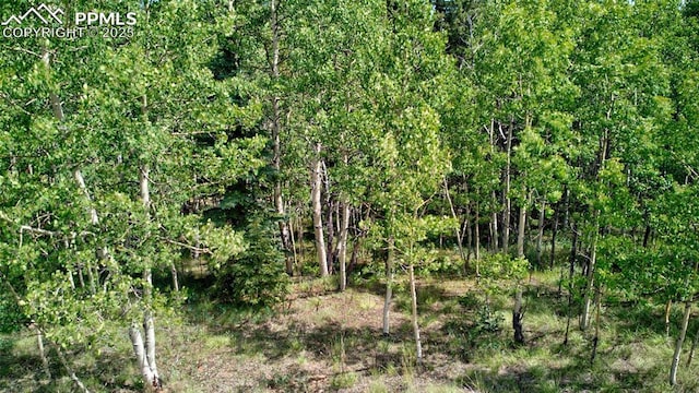 158 Rattler Ct, Cripple Creek, CO 80813