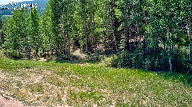 158 Rattler Ct, Cripple Creek, CO 80813