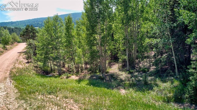 158 Rattler Ct, Cripple Creek, CO 80813