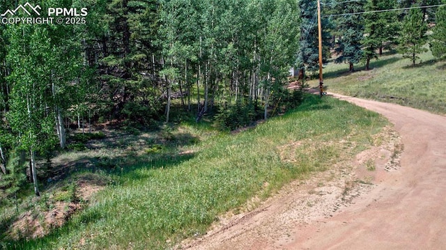 158 Rattler Ct, Cripple Creek, CO 80813