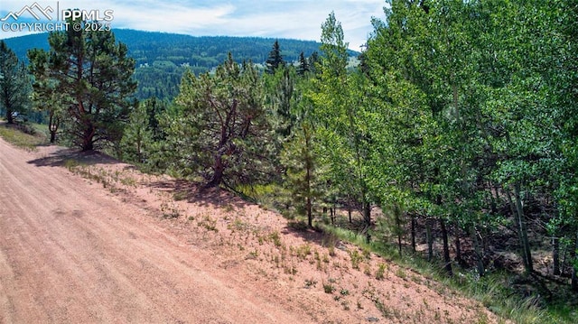 158 Rattler Ct, Cripple Creek, CO 80813