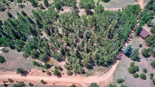 158 Rattler Ct, Cripple Creek, CO 80813