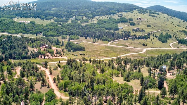 158 Rattler Ct, Cripple Creek, CO 80813