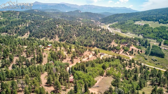 158 Rattler Ct, Cripple Creek, CO 80813