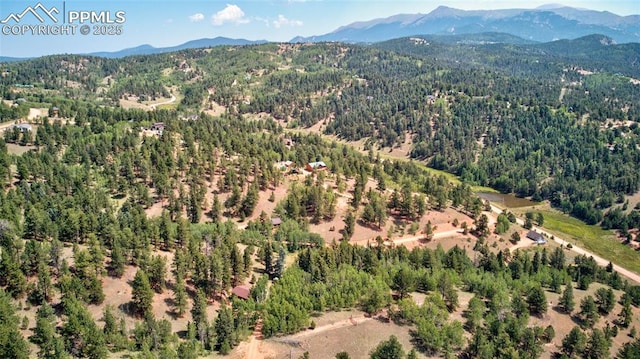 158 Rattler Ct, Cripple Creek, CO 80813