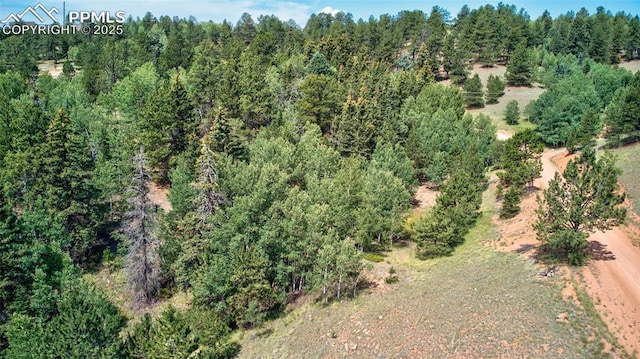 158 Rattler Ct, Cripple Creek, CO 80813
