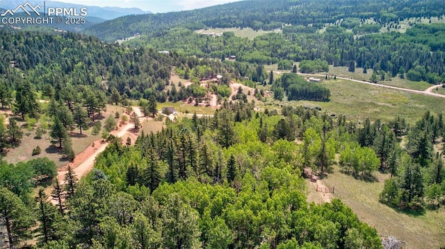 158 Rattler Ct, Cripple Creek, CO 80813