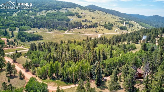 158 Rattler Ct, Cripple Creek, CO 80813