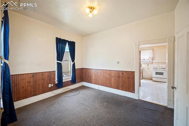 117 S Limit St, Colorado Springs, CO 80905 - empty room featuring a wainscoted wall, carpet, wood walls, and healthy amount of natural light