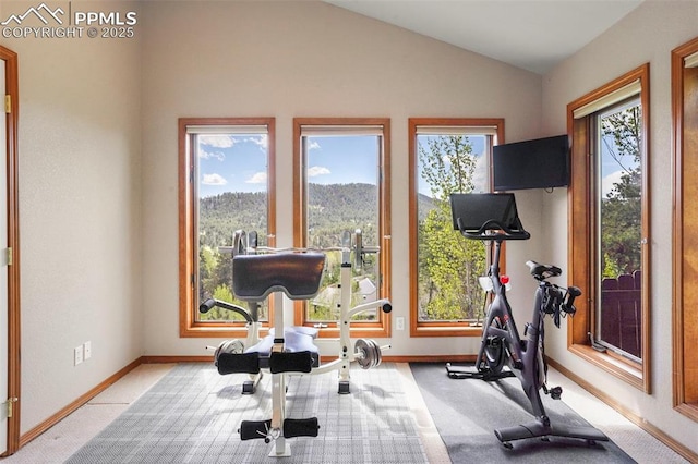 215 Morning Sun Dr, Woodland Park, CO 80863 - workout area featuring carpet, vaulted ceiling, and baseboards
