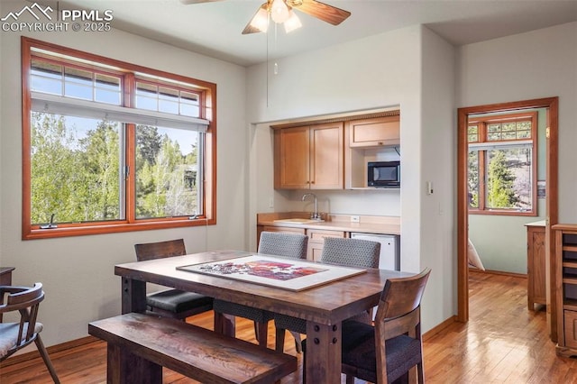 215 Morning Sun Dr, Woodland Park, CO 80863 - dining space featuring plenty of natural light, light wood-style flooring, ceiling fan, and baseboards