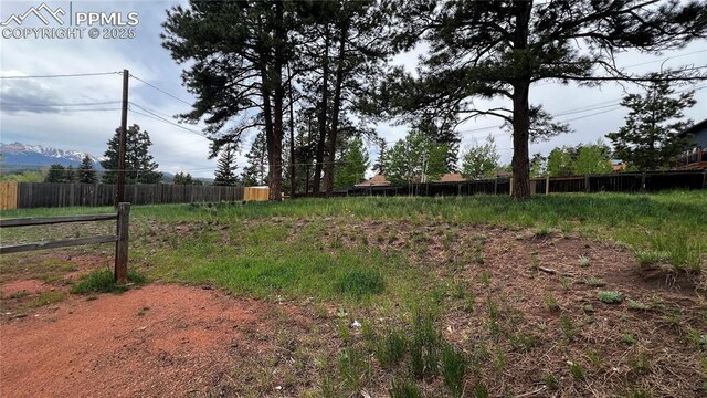 418 N Baldwin St, Woodland Park, CO 80863 - view of yard with a mountain view