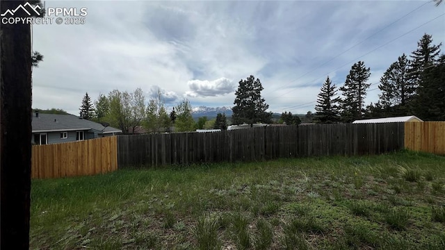 418 N Baldwin St, Woodland Park, CO 80863 - view of yard