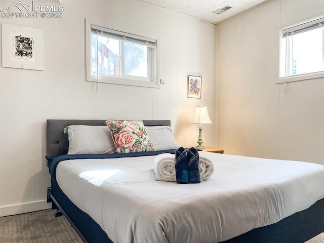 418 N Baldwin St, Woodland Park, CO 80863 - bedroom featuring multiple windows and a textured ceiling