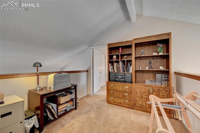 4120 Autumn Heights Dr Unit B, Colorado Springs, CO 80906 - home office with light carpet and a textured ceiling