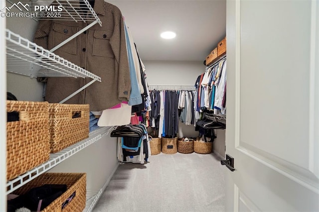 6471 Rolling Creek Dr, Colorado Springs, CO 80924 - spacious closet with carpet