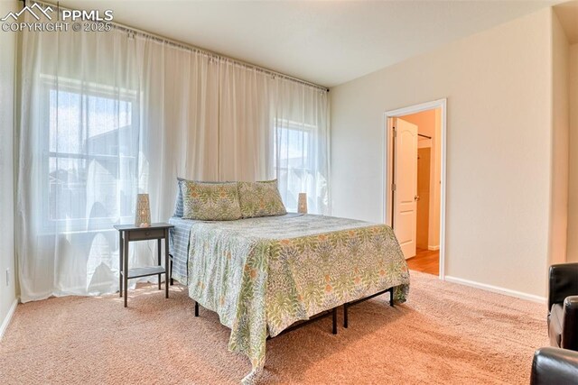 6676 Liberator Trl, Colorado Springs, CO 80925 - carpeted bedroom featuring baseboards