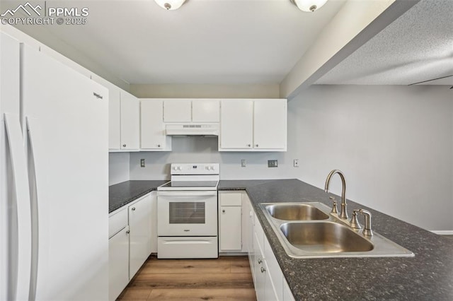 2013 Erin Loop, Colorado Springs, CO 80918 - kitchen with white appliances, under cabinet range hood, a sink, and dark countertops
