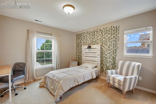 6874 Quiet Pond Pl, Colorado Springs, CO 80923 - bedroom featuring carpet and baseboards