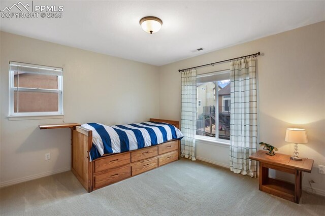 6874 Quiet Pond Pl, Colorado Springs, CO 80923 - carpeted bedroom with baseboards