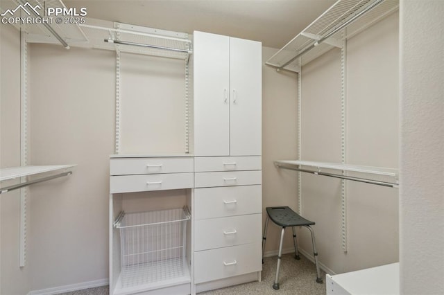 14115 Nichlas Ct, Colorado Springs, CO 80921 - view of spacious closet