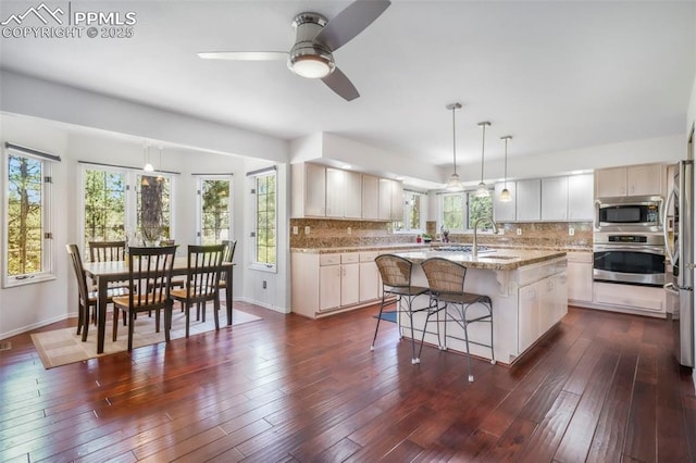 1240 Lone Scout Lookout, Monument, CO 80132 - kitchen with appliances with stainless steel finishes, a kitchen island with sink, tasteful backsplash, a breakfast bar area, and ceiling fan