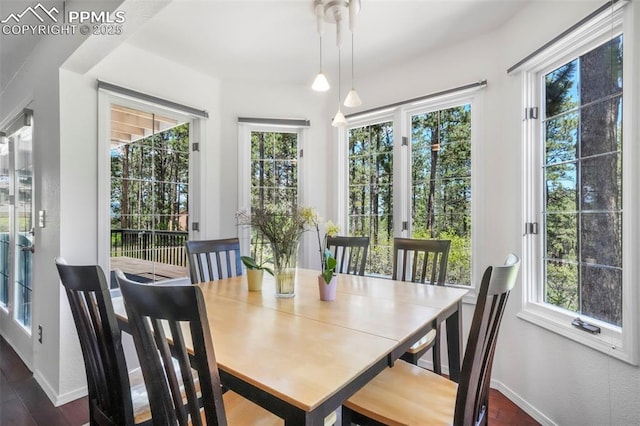 1240 Lone Scout Lookout, Monument, CO 80132 - dining room with plenty of natural light and dark wood-style floors