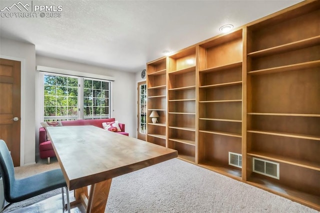 1240 Lone Scout Lookout, Monument, CO 80132 - office featuring carpet