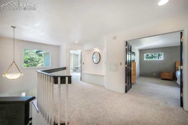 1240 Lone Scout Lookout, Monument, CO 80132 - hallway featuring light carpet and an upstairs landing