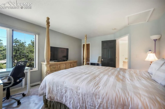 1240 Lone Scout Lookout, Monument, CO 80132 - bedroom with carpet flooring and connected bathroom