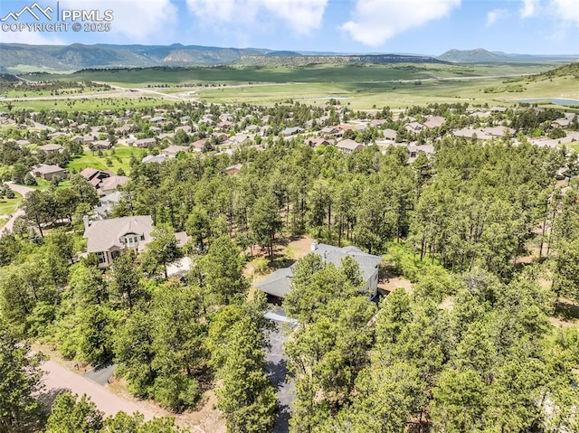 1240 Lone Scout Lookout, Monument, CO 80132 - aerial perspective of suburban area with mountains