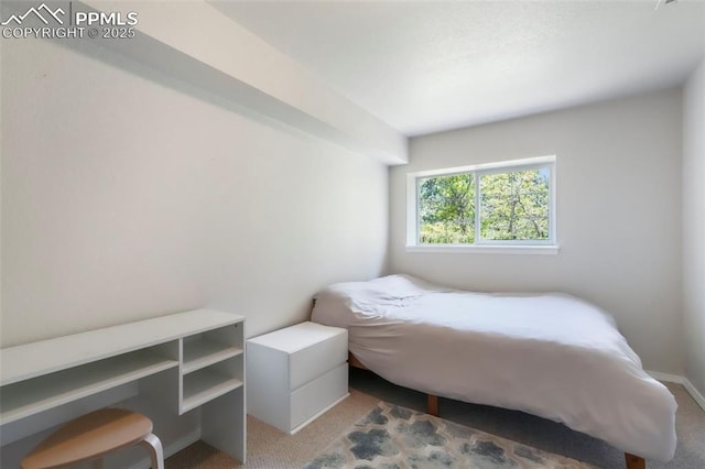1240 Lone Scout Lookout, Monument, CO 80132 - view of carpeted bedroom