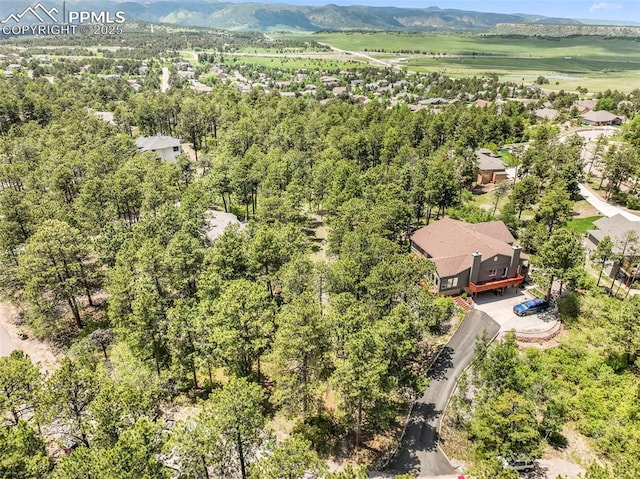 1240 Lone Scout Lookout, Monument, CO 80132 - aerial view of a mountain backdrop