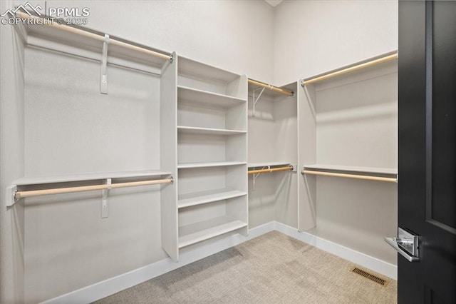 8545 Bailiff Dr, Peyton, CO 80831 - spacious closet with carpet flooring