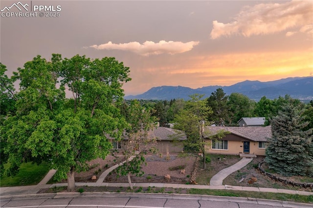 2206 Patrician Way, Colorado Springs, CO 80909 - mountain view