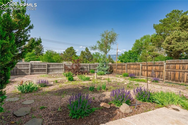2206 Patrician Way, Colorado Springs, CO 80909 - view of fenced backyard