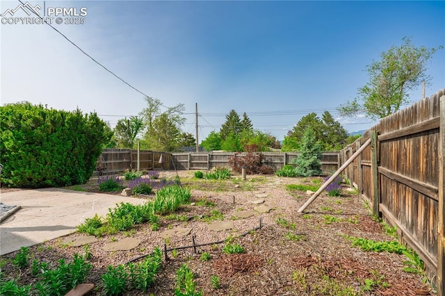 2206 Patrician Way, Colorado Springs, CO 80909 - view of fenced backyard