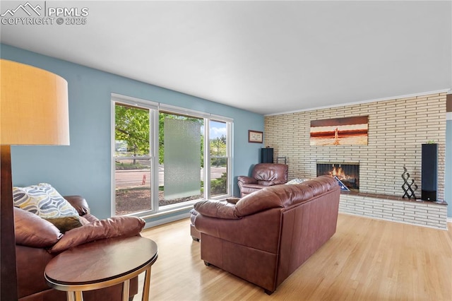 2206 Patrician Way, Colorado Springs, CO 80909 - living room with light wood-style flooring and a fireplace
