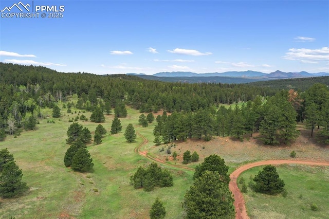 584 Sourdough Rd, Woodland Park, CO 80863