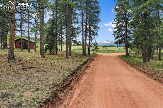 584 Sourdough Rd, Woodland Park, CO 80863