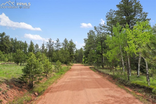 584 Sourdough Rd, Woodland Park, CO 80863