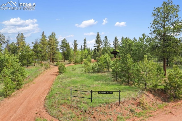 584 Sourdough Rd, Woodland Park, CO 80863