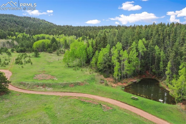 584 Sourdough Rd, Woodland Park, CO 80863